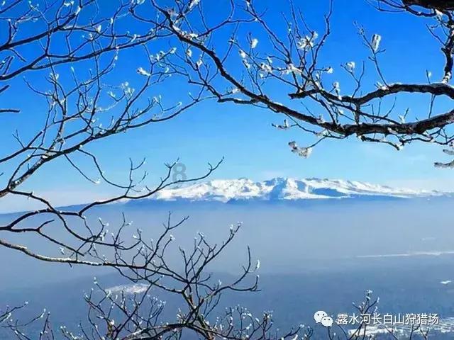 吉鹿力问答社区-探索《知否》中盛老太太到底有多少家底?她为何愿意用自己的一生来守候盛家?乐趣