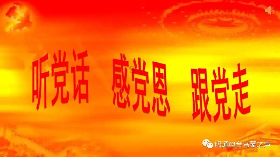 小猫钓鱼正版下载中文版