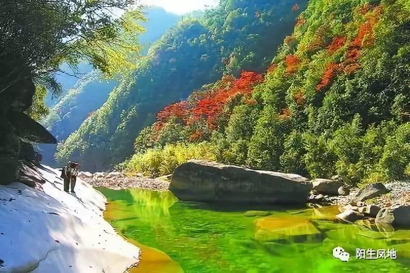 玫瑰和月季是一个科属的吗- 专业问答网站，解答你的疑惑