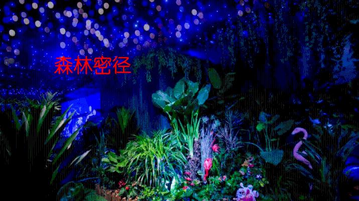 动物帮帮忙保卫家园